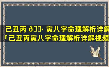 己丑丙 🌷 寅八字命理解析详解「己丑丙寅八字命理解析详解视频」